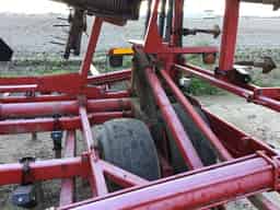 Sunflower 5056-49 Image