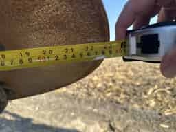 2024 Landoll 6231-33 Image
