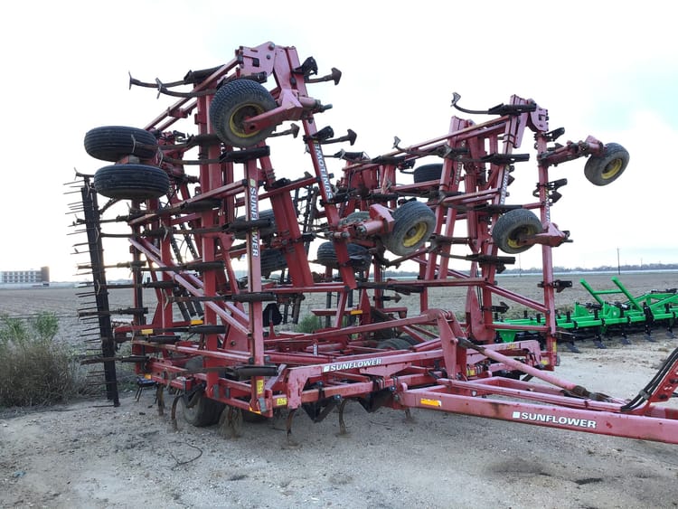 Sunflower 5056-49 Image